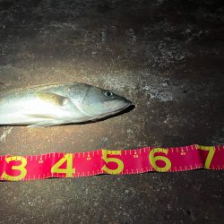 何が起きた!千葉港⭐︎⭐︎⭐︎