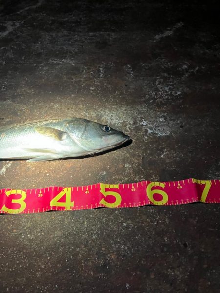 何が起きた!千葉港⭐︎⭐︎⭐︎