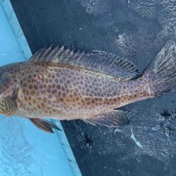 オフショアライトゲーム