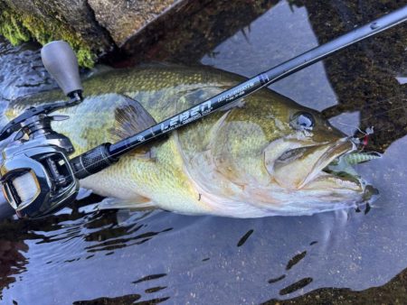 ダブルネックスマンカイフィッシュ！