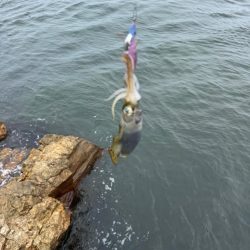 待ち時間にちょいエギング