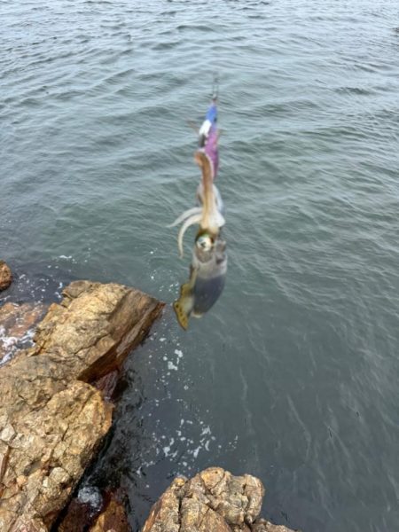 待ち時間にちょいエギング