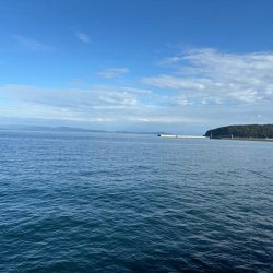 3年ぶりの太刀魚