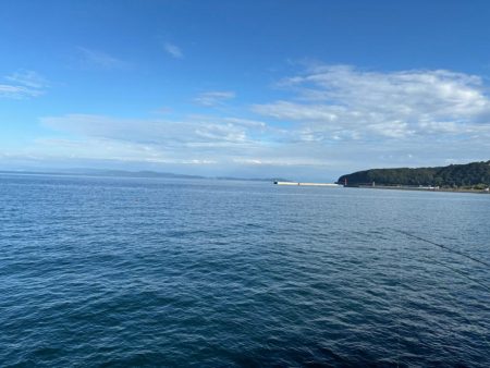 3年ぶりの太刀魚