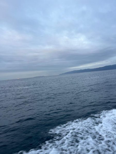 またまたアオリイカ釣りに