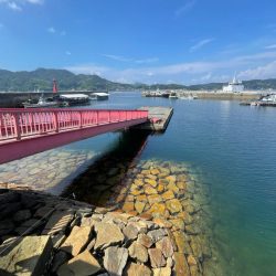 コロッケサイズも交じる！