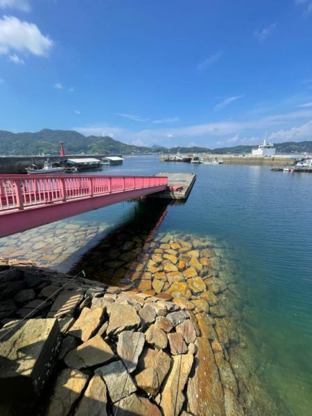 コロッケサイズも交じる！