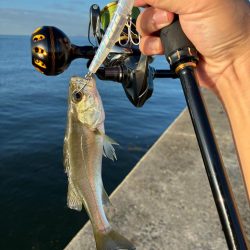 朝1ヒットは気持ちいい!