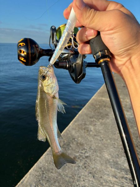 朝1ヒットは気持ちいい!