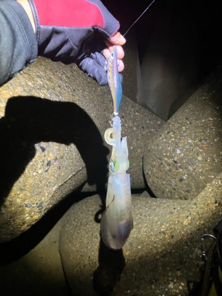 飽きずに秋🦑釣り😊