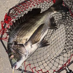 ヘチってきました