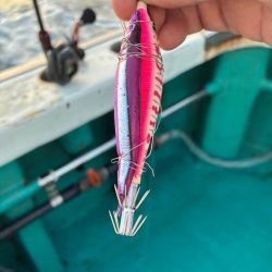 6回目イカメタル