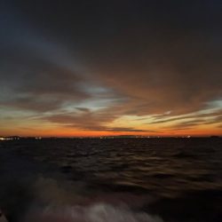 3度目のティップランエギング