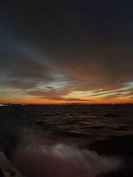 3度目のティップランエギング