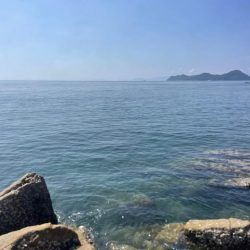 違う場所でエギング