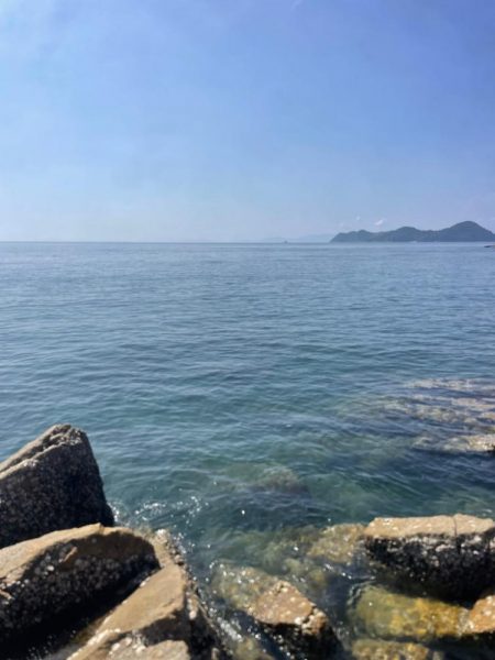 違う場所でエギング