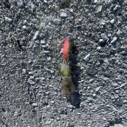 やっぱり小さい………