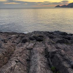 ほんとの磯デビュー