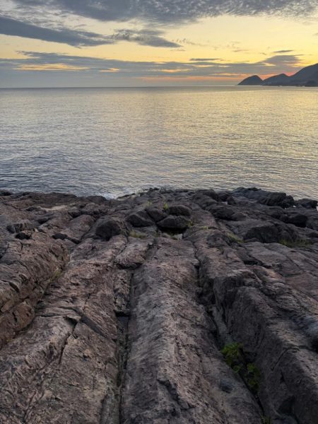 ほんとの磯デビュー