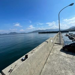 今日は、デカめも釣れました〜‼️