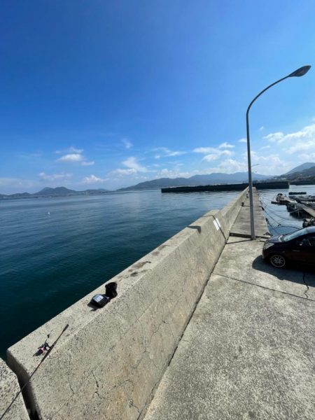 今日は、デカめも釣れました〜‼️