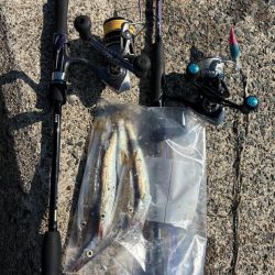 ペットボトルが……