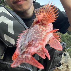 濁りと暑さの闘い