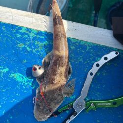 明石からひとつテンヤ　