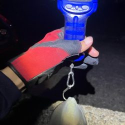 秋🦑釣り楽しい😊