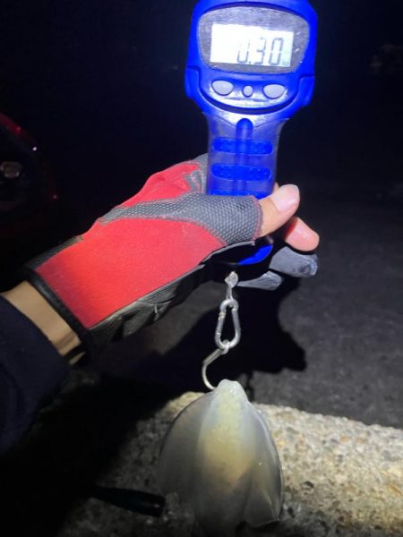 秋🦑釣り楽しい😊