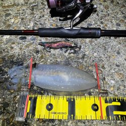 秋🦑連日連夜釣行😊