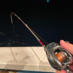 渋くなったマイカ釣り