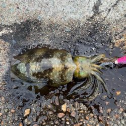 今日も隙間時間に!