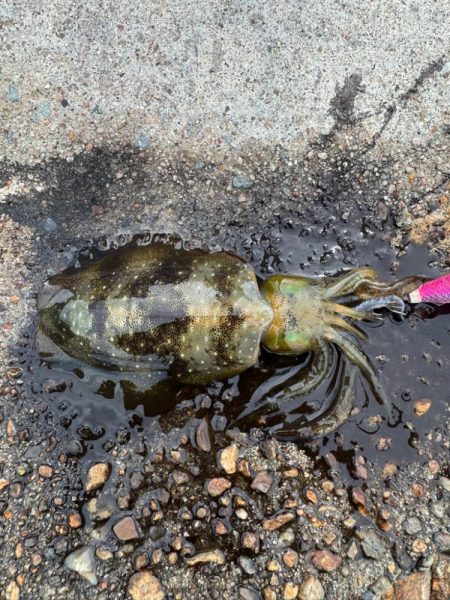 今日も隙間時間に!