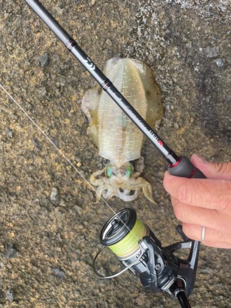 2025 佐渡ヶ島エギング Vol.13【9月20日】