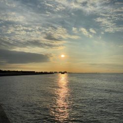 シーバス青物狙ってもチヌ!