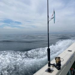 青物まだ夏パターン。タチウオ は元気。