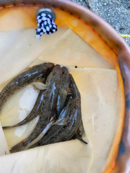 淀川ハゼ釣り大会2025