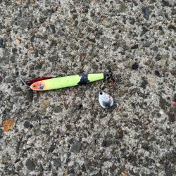 ジグサビキ　37