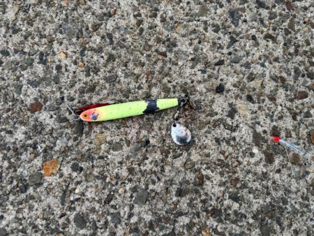 ジグサビキ　37