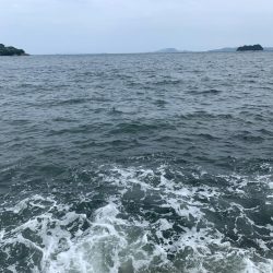 まだまだ小さい