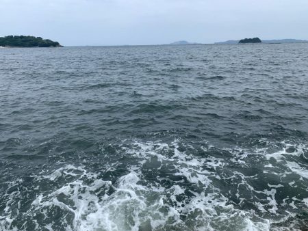 まだまだ小さい