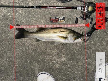 初ジョイクロ70フィッシュ!