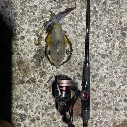 淡路島遠征ー！