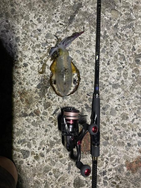 淡路島遠征ー！