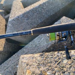 シロギスタ:淡々フィッシング