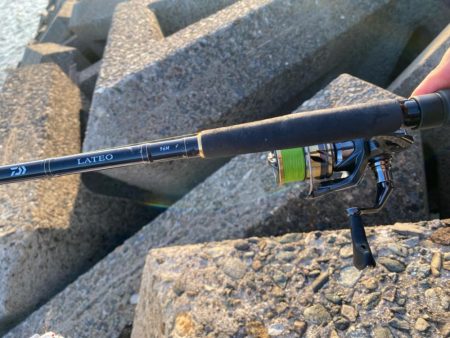 シロギスタ:淡々フィッシング