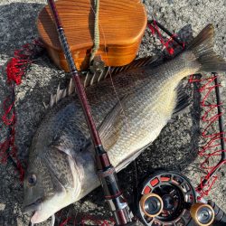 ヘチってきました