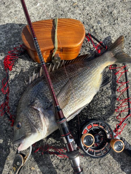 ヘチってきました