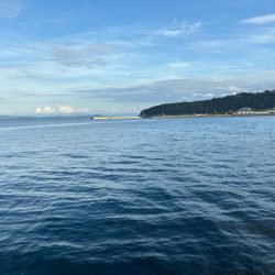 チャリコだらけ